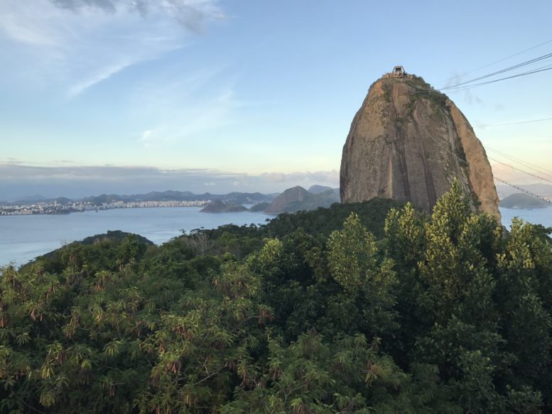 Rio de Janeiro & the  Rainforest Tour